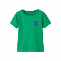 NAME IT Tee Diago Jolly Green