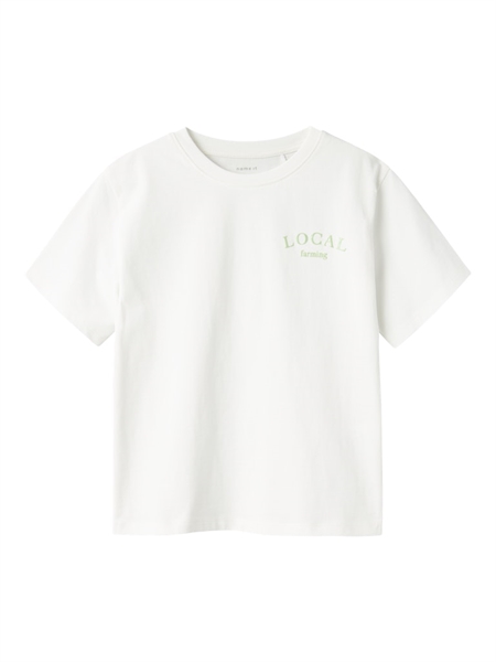NAME IT T-Shirt Boway Cloud Dancer Arcadian Green billede