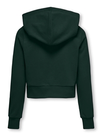ONLY KIDS Zip Hoodie Bella Scarab