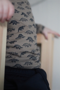 BIRKHOLM Bluse Brun Dinosaur