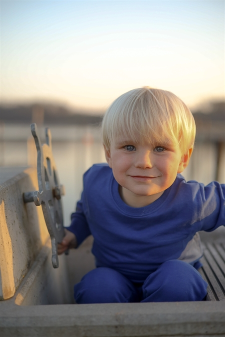 BIRKHOLM Sweatshirt Kobolt Blå