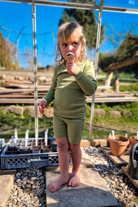 BIRKHOLM Rib Shorts Salvie Grøn
